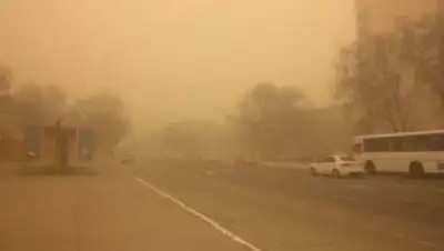 из открытых источников, фото - Новости Zakon.kz от 16.07.2018 18:20