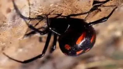 Zakon.kz, фото - Новости Zakon.kz от 08.07.2016 18:47