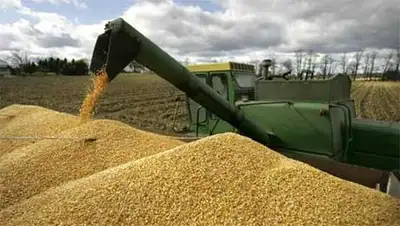 Zakon.kz, фото - Новости Zakon.kz от 08.11.2013 17:07