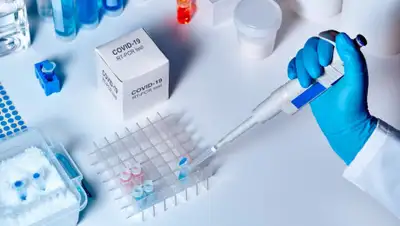 sindicato-asae, фото - Новости Zakon.kz от 14.05.2020 15:37