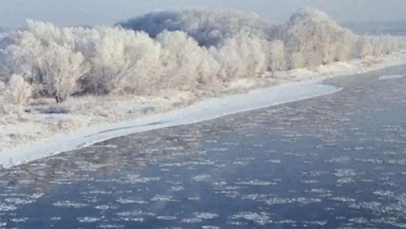 В Усть-Каменогорске полицейские спасли десятилетнюю девочку, упавшую в Иртыш