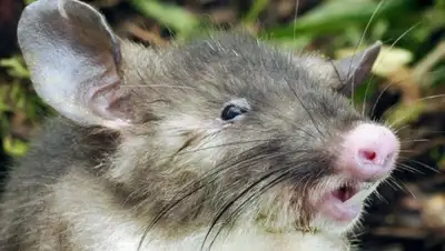 Zakon.kz, фото - Новости Zakon.kz от 06.10.2015 21:40