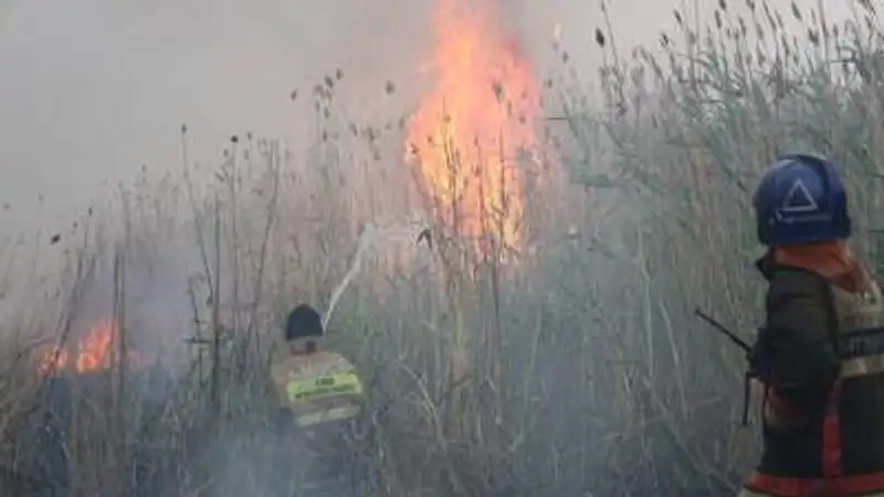 , фото - Новости Zakon.kz от 26.06.2023 11:49