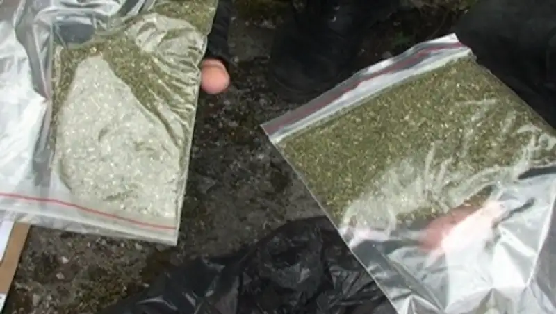 В Талгаре брат и сестра организовали точку сбыта наркотиков