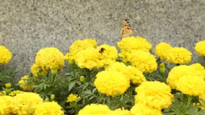 Zakon.kz, фото - Новости Zakon.kz от 27.07.2015 05:14