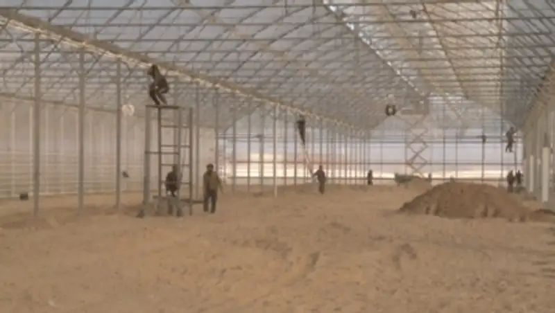 В ЮКО обсудили вопросы развития тепличного производства, фото - Новости Zakon.kz от 09.11.2013 18:27