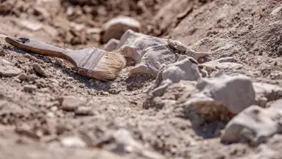 cdn.iz.ru, фото - Новости Zakon.kz от 25.12.2019 13:50