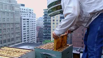 Zakon.kz, фото - Новости Zakon.kz от 14.05.2015 23:52