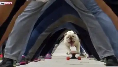 Zakon.kz, фото - Новости Zakon.kz от 12.11.2015 22:47