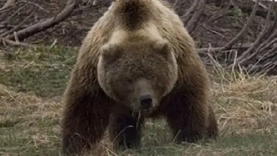 Zakon.kz, фото - Новости Zakon.kz от 20.06.2016 18:51