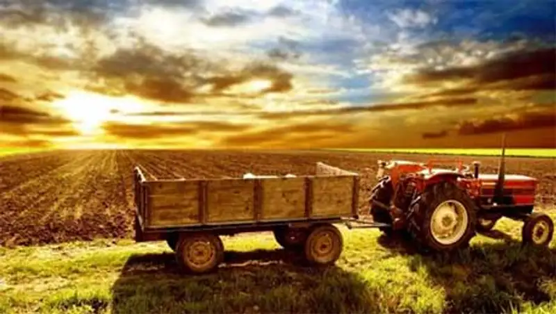 Мажилис одобрил депутатские новшества в агропроме, фото - Новости Zakon.kz от 06.11.2013 17:16