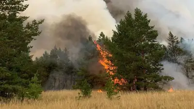 Алматинцы собирают помощь для пострадавших от пожаров в Костанайской области, фото - Новости Zakon.kz от 04.09.2022 17:25