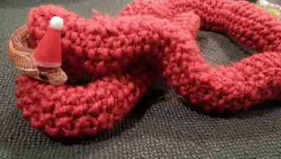 Zakon.kz, фото - Новости Zakon.kz от 27.12.2016 22:23