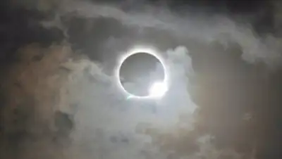 Zakon.kz, фото - Новости Zakon.kz от 11.03.2016 02:51