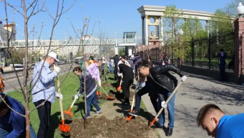 Госслужащие Алматы поддержали акцию «90 тысяч деревьев»