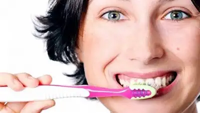 Smartybrush, фото - Новости Zakon.kz от 21.07.2018 08:51