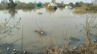 Zakon.kz, фото - Новости Zakon.kz от 03.05.2017 21:07