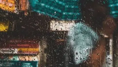 pixabay.com, фото - Новости Zakon.kz от 16.06.2021 12:18