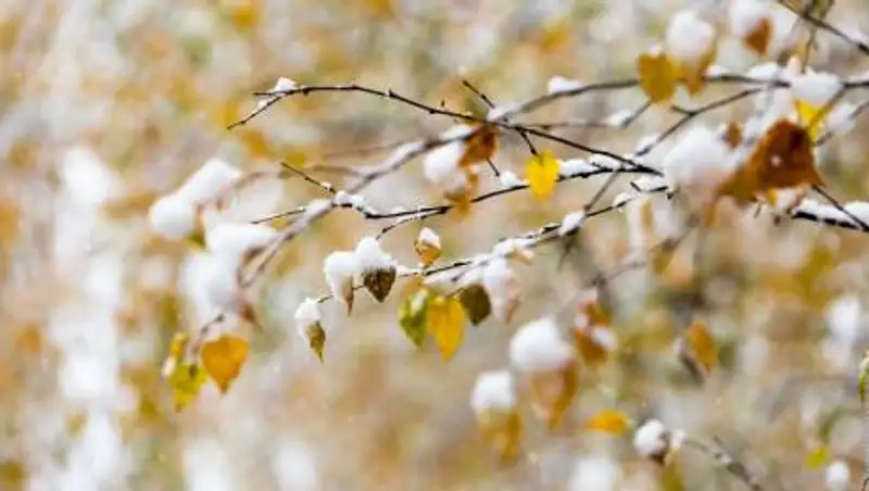 Прогноз погоды по территории Казахстана на 20 ноября