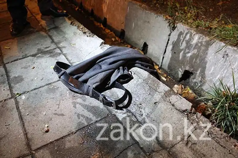 Мертвого изувеченного мужчину нашли сегодня утром в арыке в Алматы (фото), фото - Новости Zakon.kz от 12.10.2013 16:07
