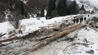 zakon.kz, фото - Новости Zakon.kz от 11.02.2020 12:14