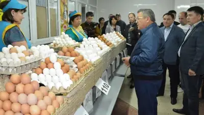 Zakon.kz, фото - Новости Zakon.kz от 24.08.2015 01:20