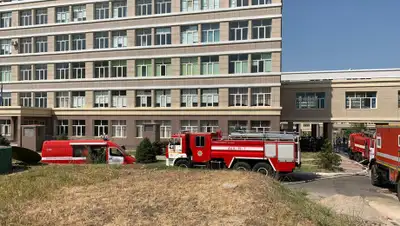 пресс-служба ДЧС Алматы, фото - Новости Zakon.kz от 22.08.2019 14:28