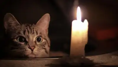 volyn24.com, фото - Новости Zakon.kz от 26.02.2018 06:10