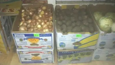 Zakon.kz, фото - Новости Zakon.kz от 09.02.2015 18:46