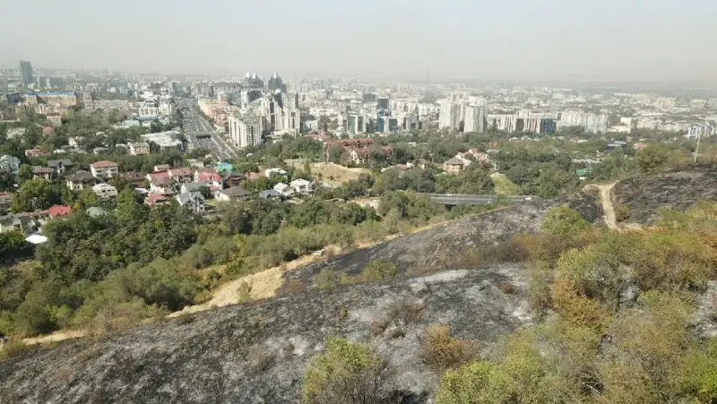 Пожар на Кок-Тобе: Как это было, фото - Новости Zakon.kz от 07.09.2022 18:19