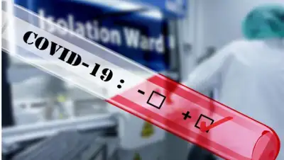 pixabay.com, фото - Новости Zakon.kz от 11.05.2020 11:41