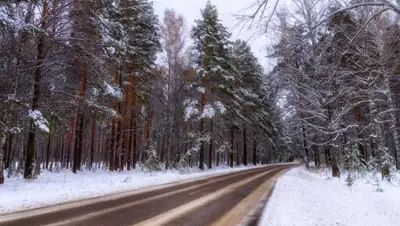 pxhere.com, фото - Новости Zakon.kz от 31.01.2020 12:01