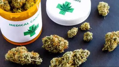 topichilov.com, фото - Новости Zakon.kz от 09.04.2021 21:24