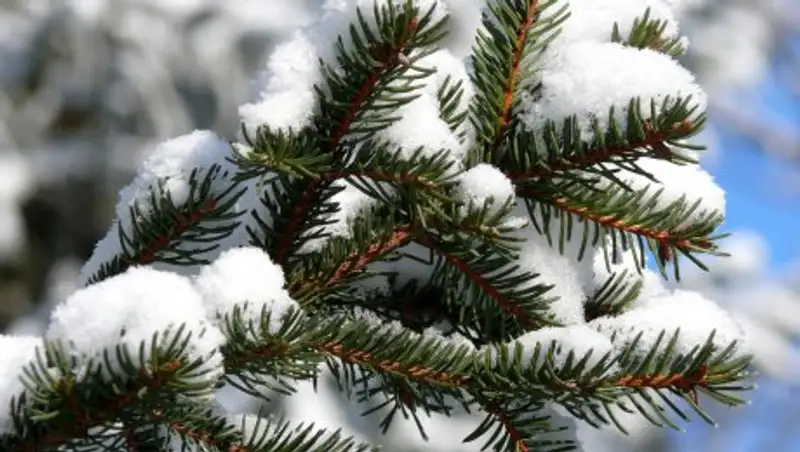 Во вторник казахстанцам обещают погоду без осадков