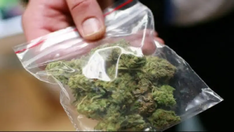 В Таразе женщина пыталась перебросить в колонию три вида наркотиков