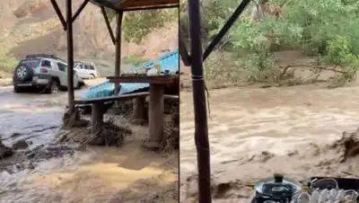 соцсети, фото - Новости Zakon.kz от 12.06.2021 01:35