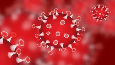 24.kz, фото - Новости Zakon.kz от 01.04.2020 11:51