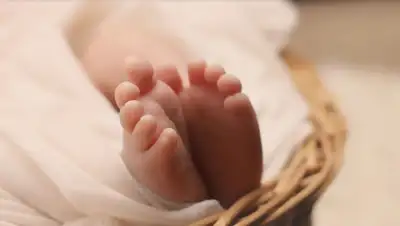 Pixabay, фото - Новости Zakon.kz от 01.09.2020 12:00