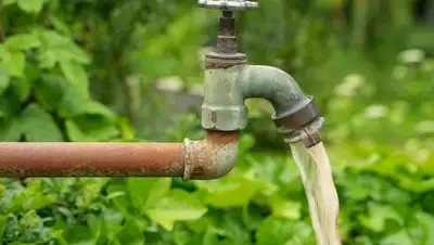 pixabay, фото - Новости Zakon.kz от 03.08.2021 06:14