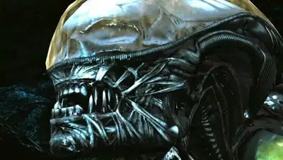 Zakon.kz, фото - Новости Zakon.kz от 01.03.2017 22:20