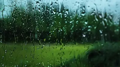 Кратковременные дожди с грозами прогнозируют синоптики в Казахстане 8 июня , фото - Новости Zakon.kz от 07.06.2023 16:11