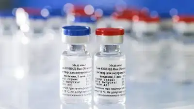 wikimedia.org, фото - Новости Zakon.kz от 12.04.2021 09:33