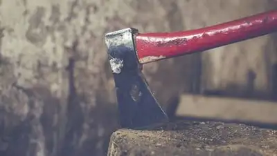 pixabay.com, фото - Новости Zakon.kz от 15.06.2021 15:49