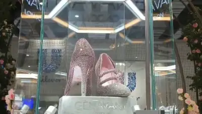 кадр видео, фото - Новости Zakon.kz от 08.11.2018 16:14