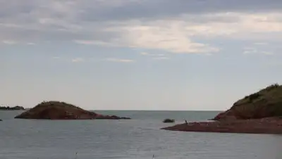 Zakon.kz, фото - Новости Zakon.kz от 01.08.2019 16:42