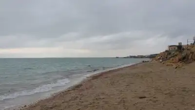 lada.kz, фото - Новости Zakon.kz от 11.03.2018 21:49