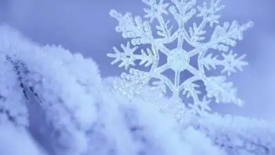 wallbox.ru, фото - Новости Zakon.kz от 24.01.2021 10:39