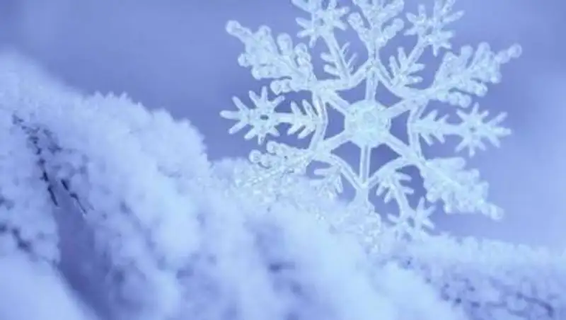 Сколько снега выпало за ночь в горах Алматы