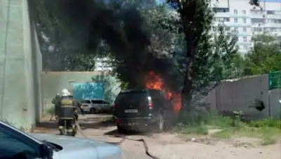 Zakon.kz, фото - Новости Zakon.kz от 17.07.2017 19:58