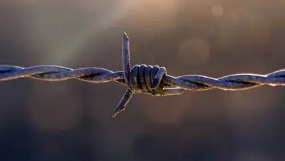 pixabay.com, фото - Новости Zakon.kz от 11.03.2021 09:16